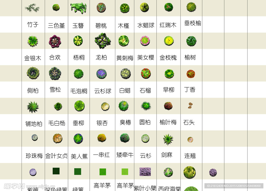 植物配植