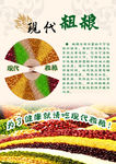 粗粮