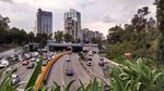 城市 马路 建筑
