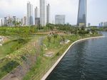 建筑 风光 城市 江景