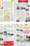 学校 校报 报纸