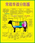 牛排、牛肉分割图