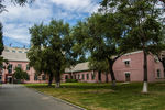 东北大学校园