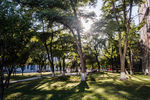 东北大学校园