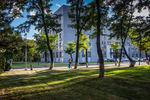 东北大学校园