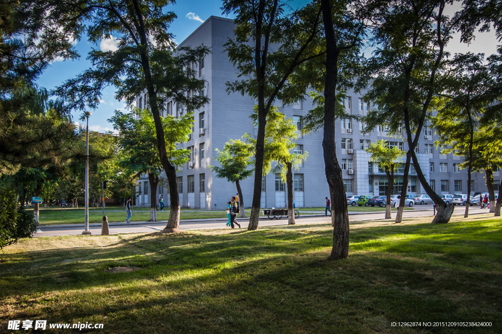 东北大学校园