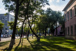 东北大学校园