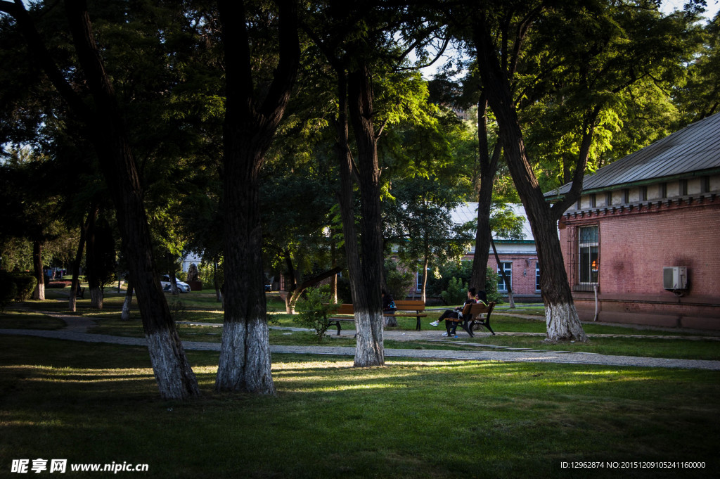 东北大学校园