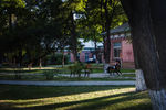 东北大学校园