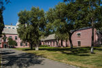 东北大学校园