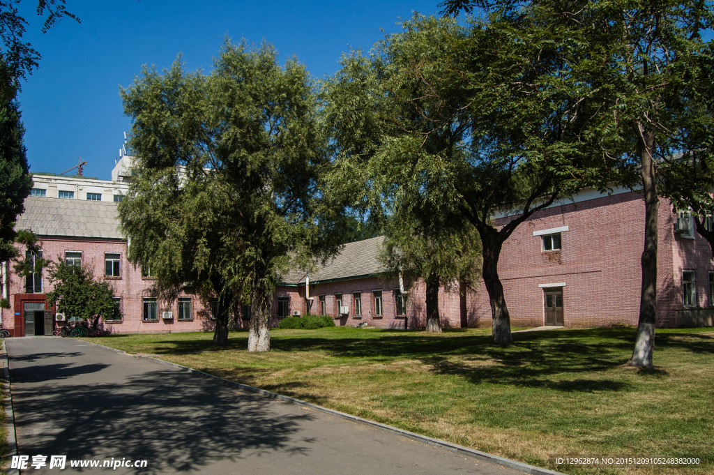 东北大学校园