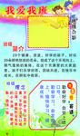 校园文化班级展板