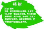 植物简介