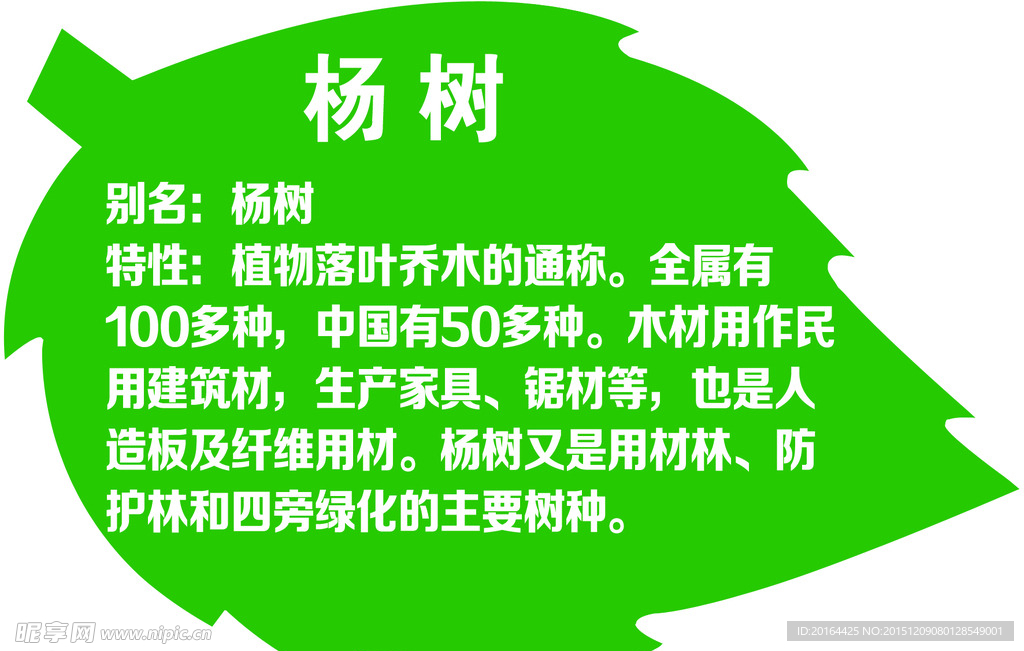 植物简介