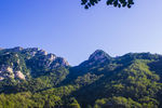 泰山