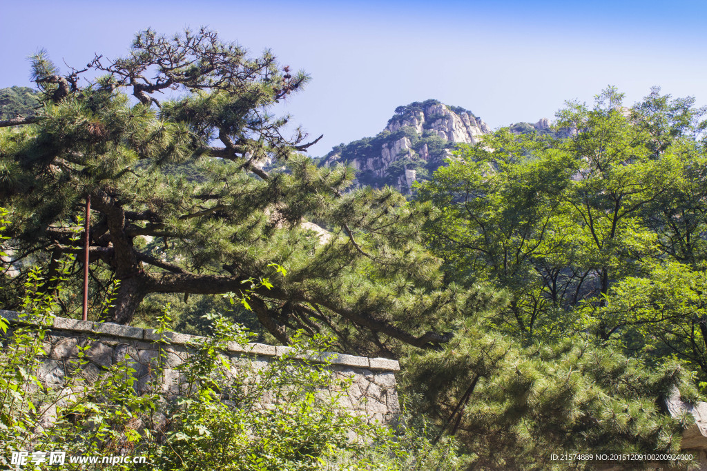 泰山景
