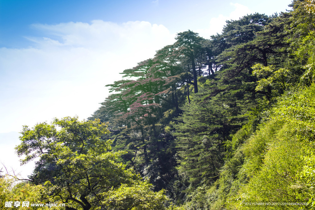 泰山景