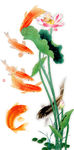 荷花鲤鱼图
