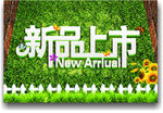 新品上市　绿色清新