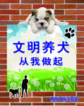 文明养犬
