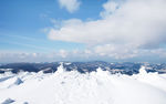 冬季美丽的雪景图片