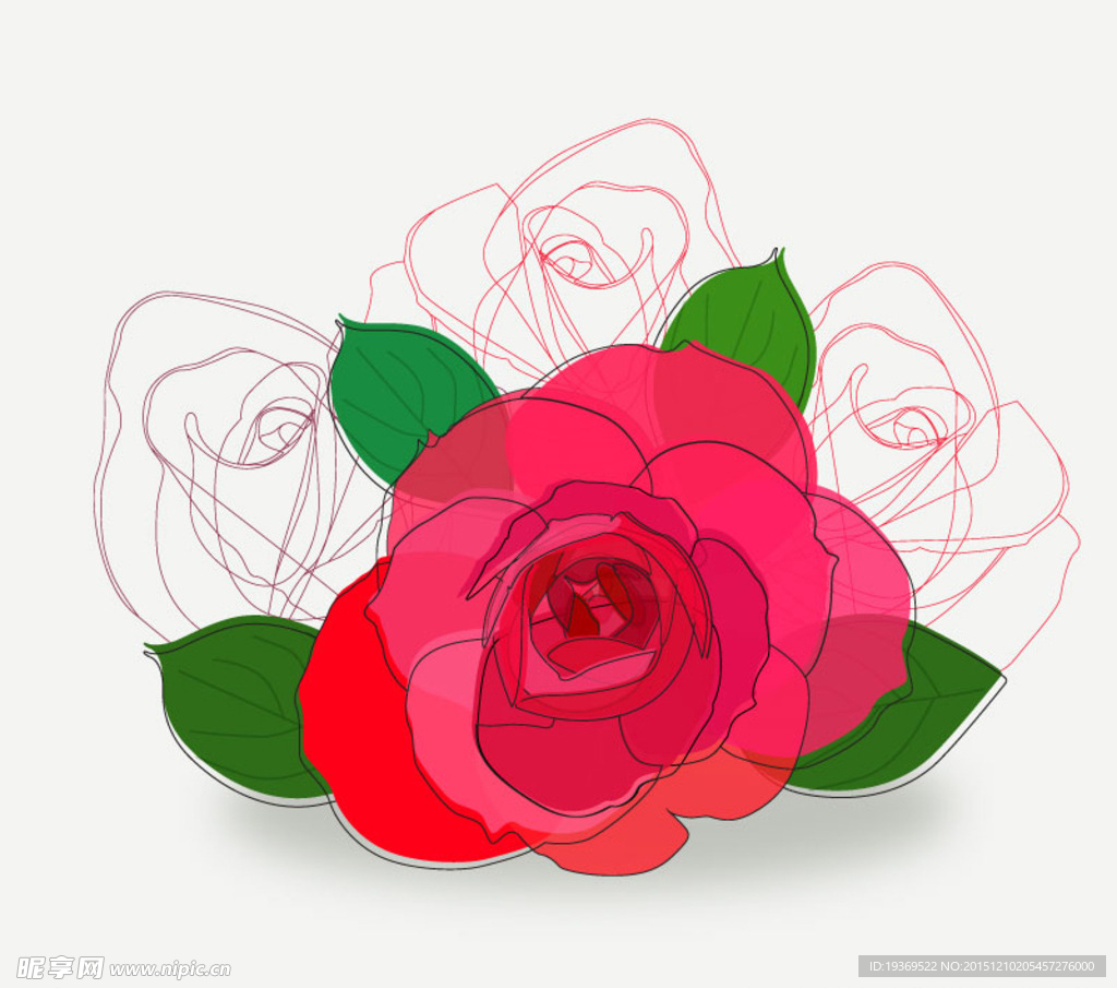 玫瑰花