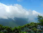 湖北神农架