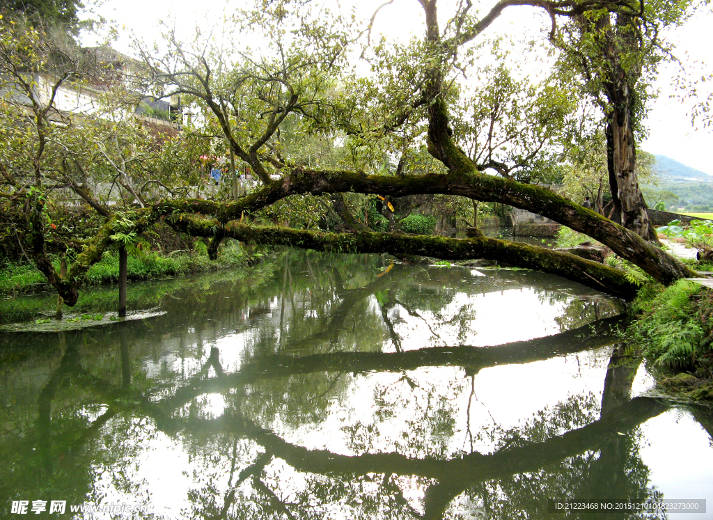 和顺古镇风光