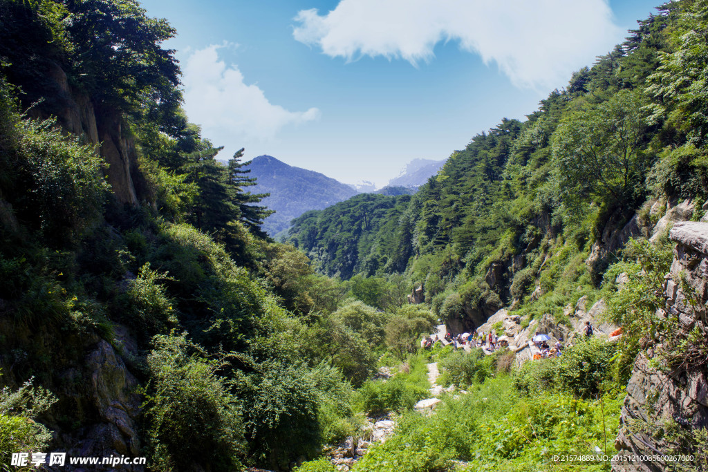 泰山景