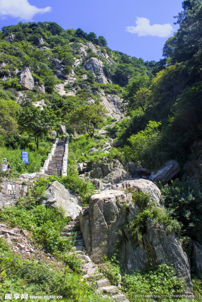 泰山景