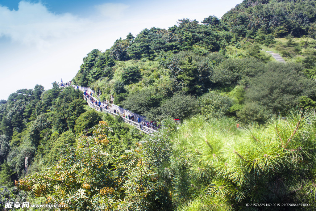 泰山景