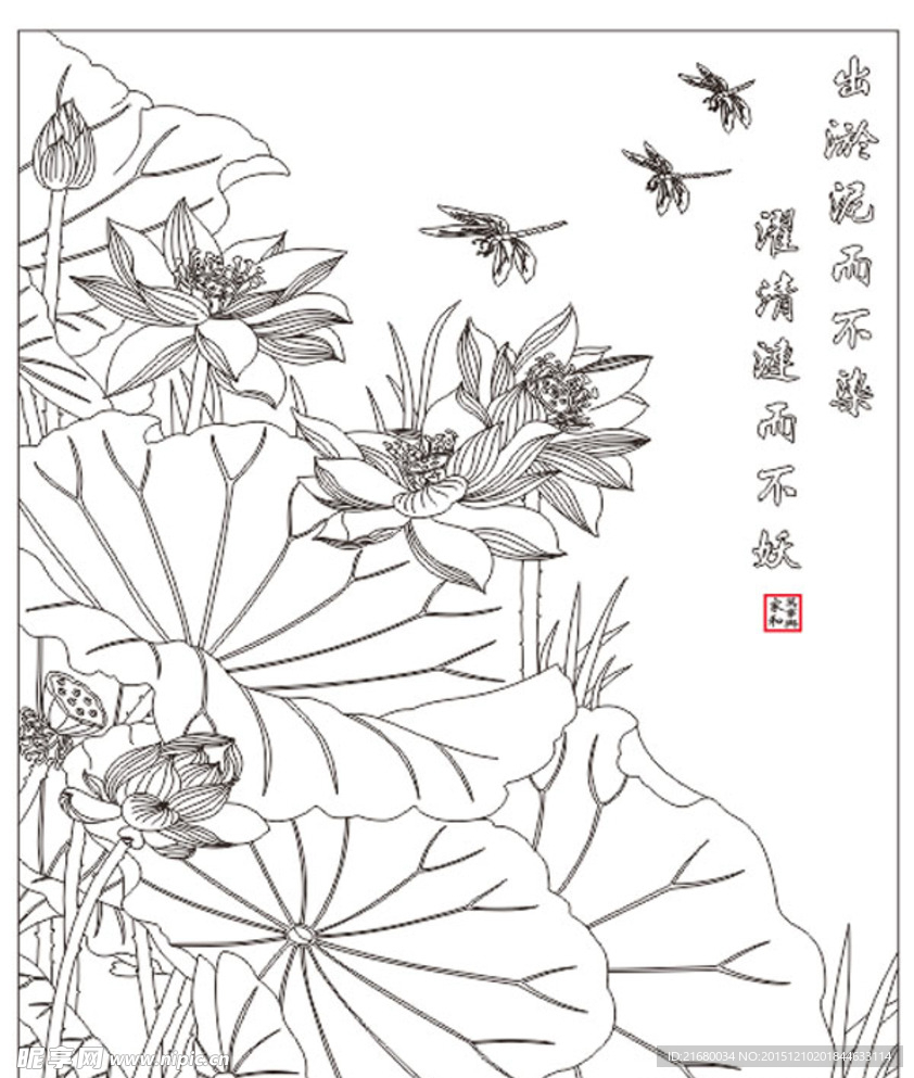 荷花