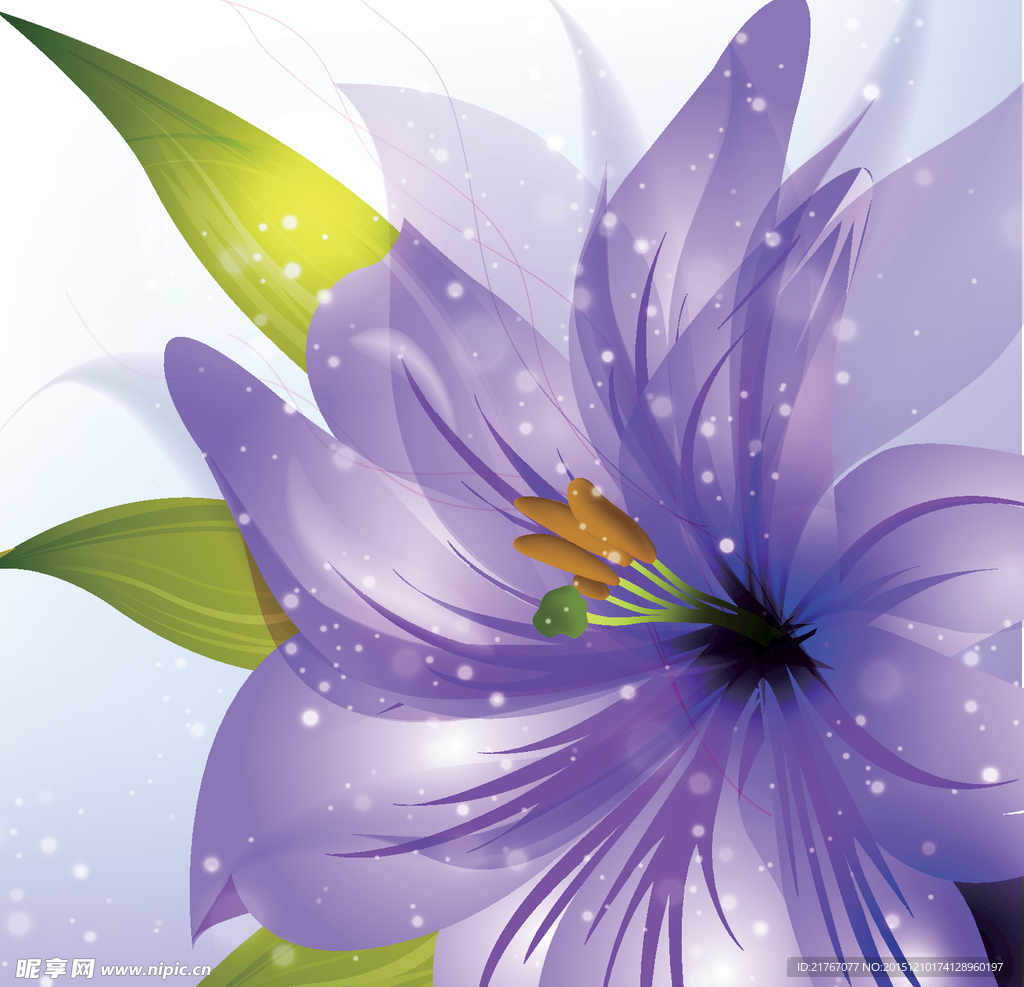 百合花