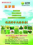 益沣园有机蔬菜