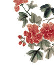 水墨芙蓉花