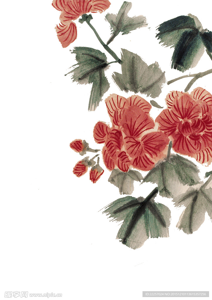 水墨芙蓉花