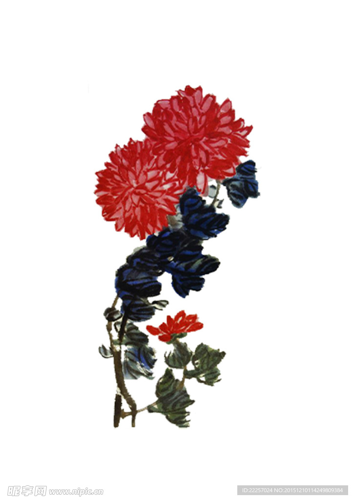 水墨菊花 齐白石