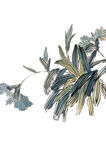 水墨兰花 齐白石