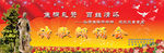 诗歌朗诵会