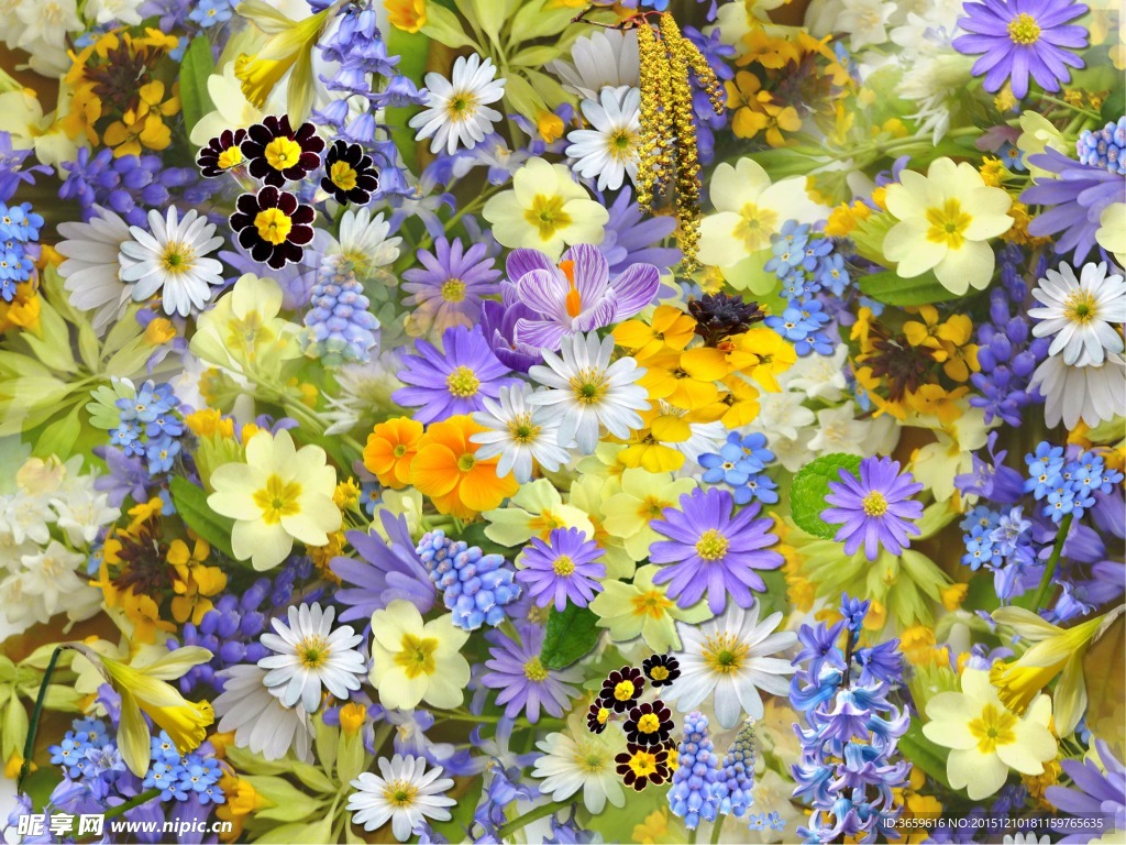 鲜花拼贴
