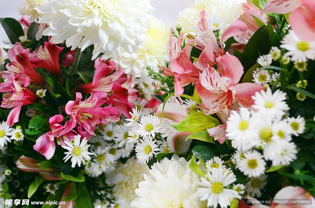 鲜花装饰
