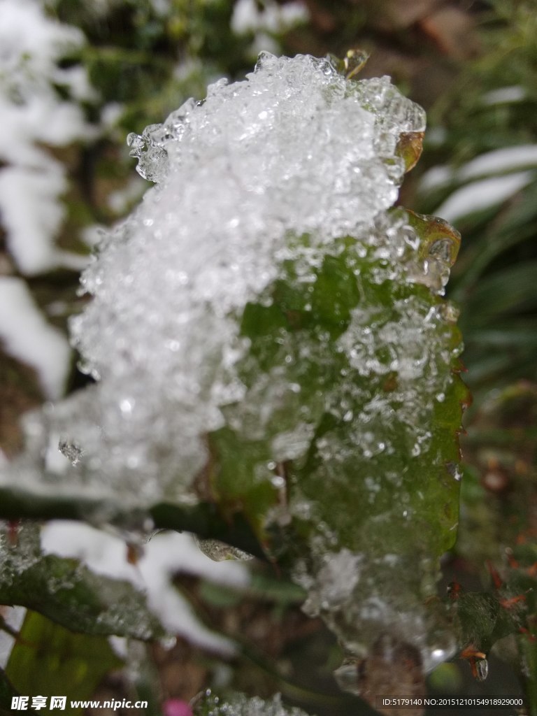 白雪