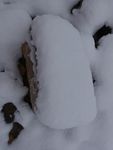 白雪