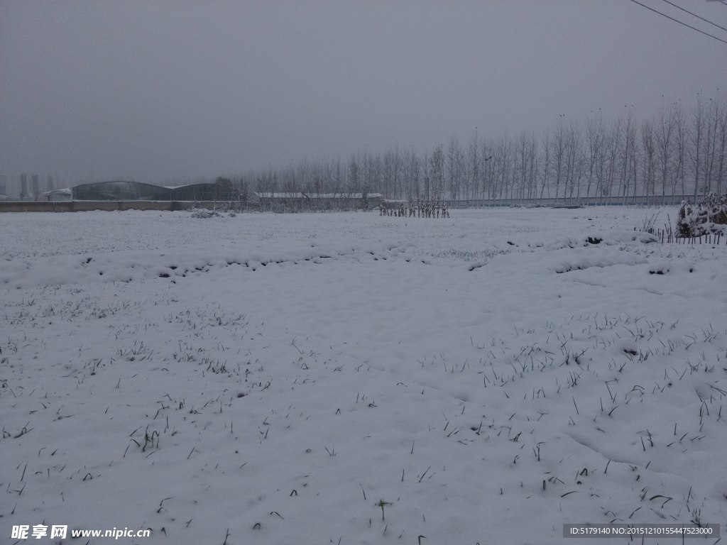 白雪
