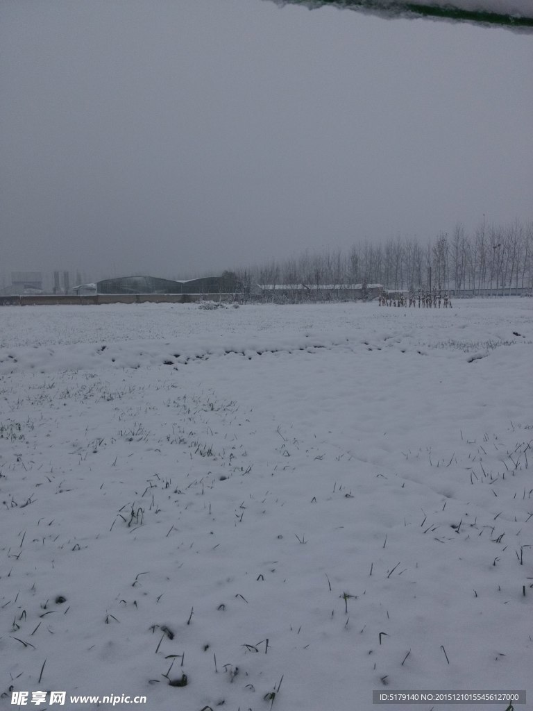白雪