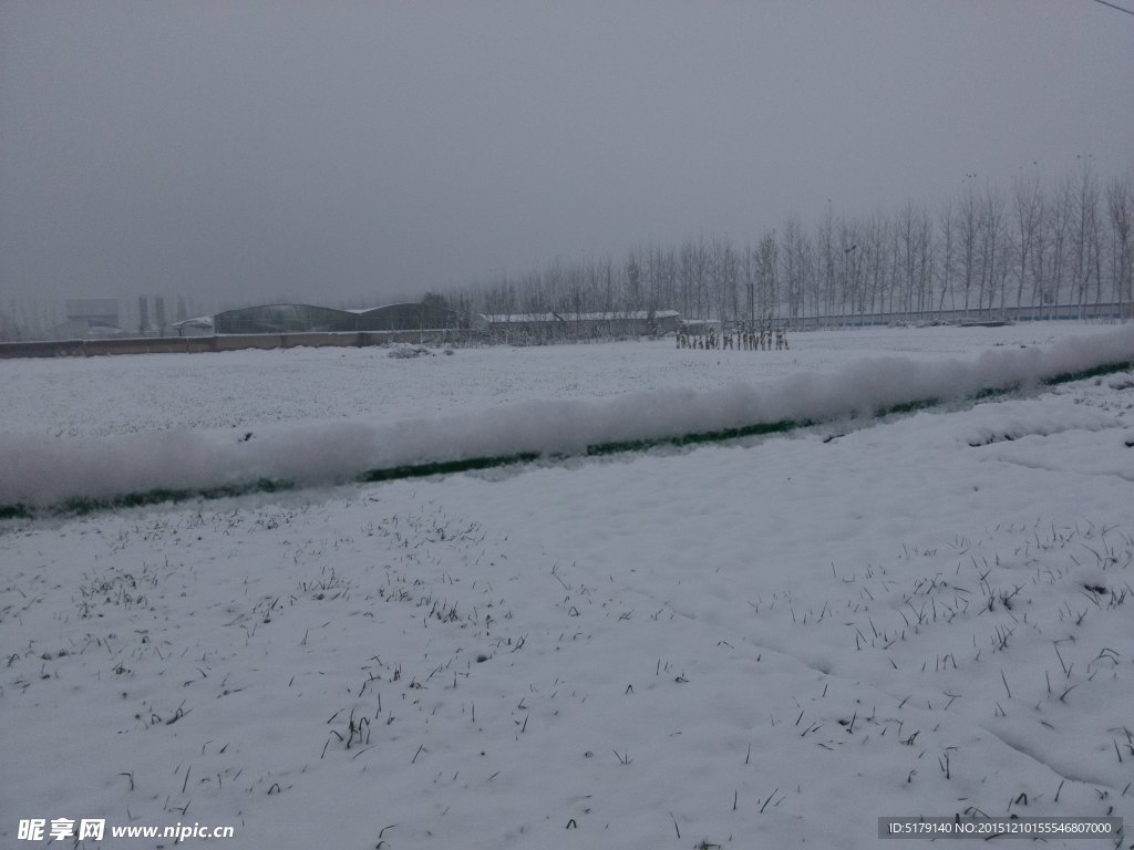 白雪