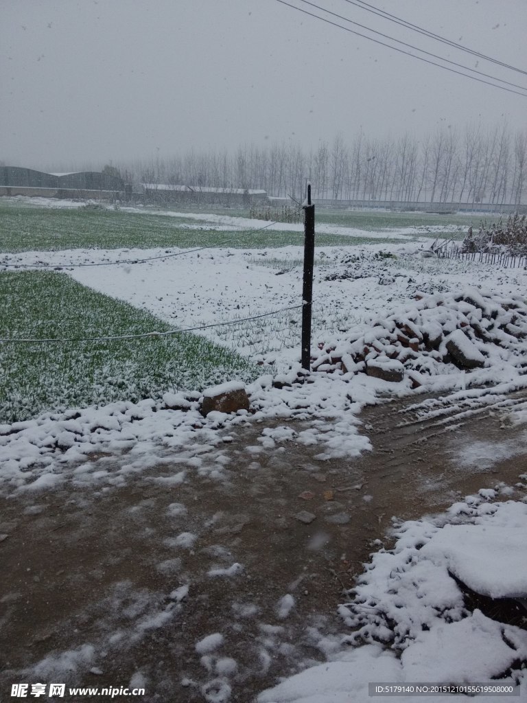 白雪