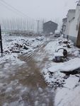 白雪