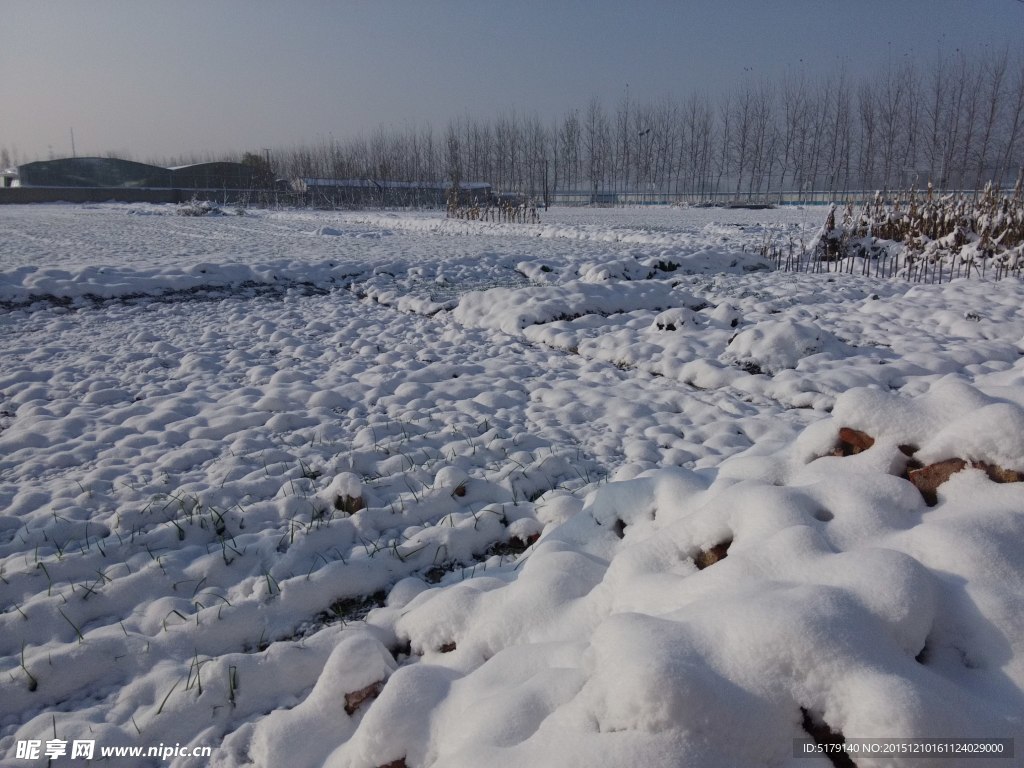 白雪