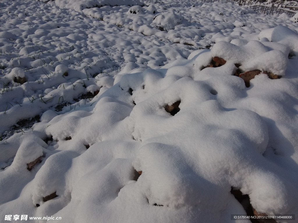 白雪